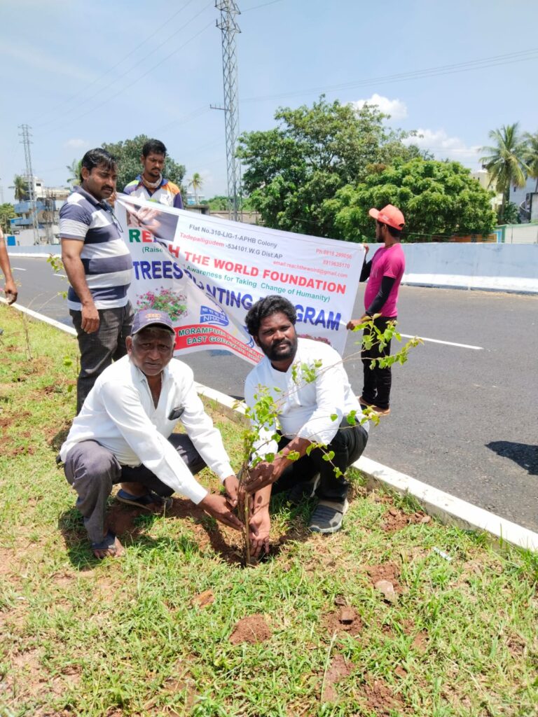 WhatsApp Image 2024-10-19 at 12.52.38 PM (1)