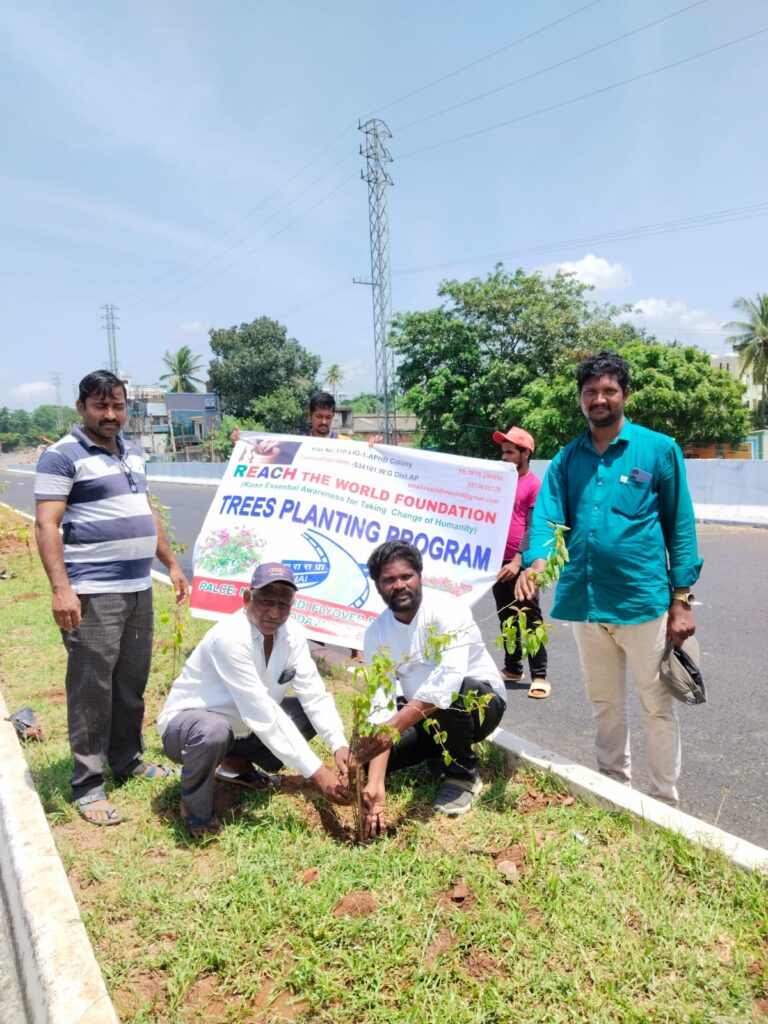 WhatsApp Image 2024-10-19 at 12.52.38 PM