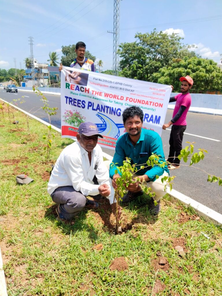 WhatsApp Image 2024-10-19 at 12.52.43 PM