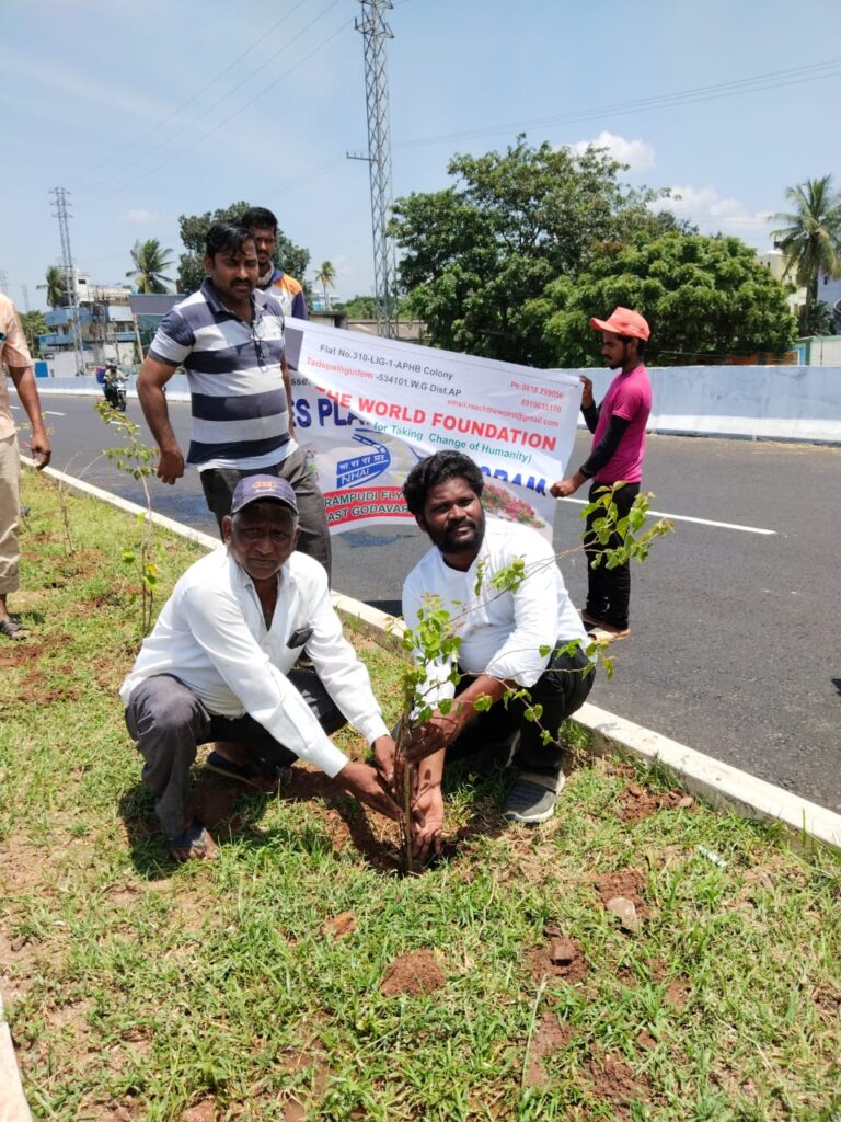 WhatsApp Image 2024-10-19 at 12.52.44 PM