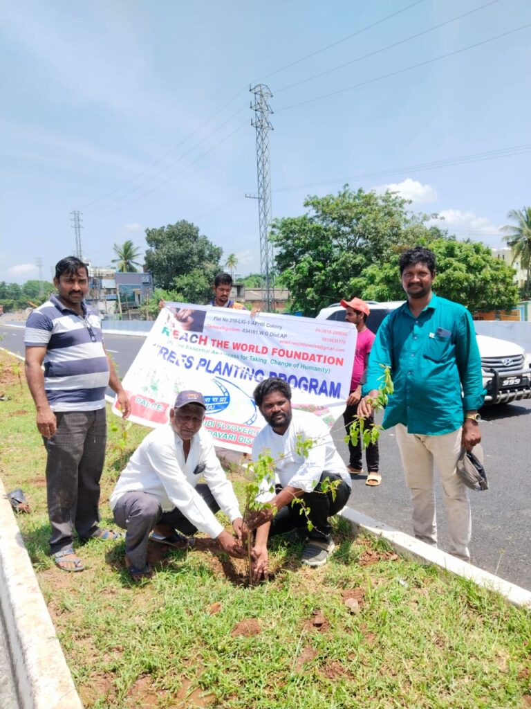 WhatsApp Image 2024-10-19 at 12.52.45 PM